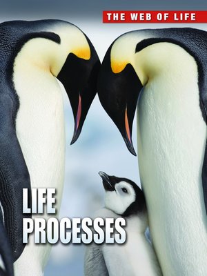 cover image of Life Processes
